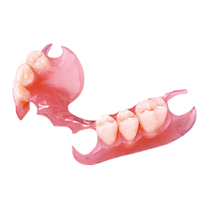 Ellipse Dentale - Adjointe - Valplast